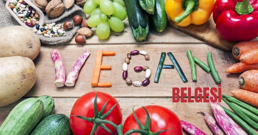 Vegan Belgesi Almak – Başarı Hikayeleri ve İlham Veren Örnekler