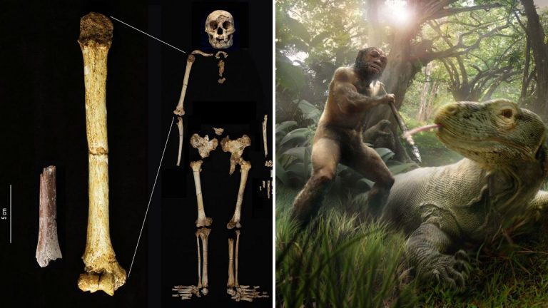 700.000 yıl öncesine ait kemiklerin keşfi, ilk insan “hobbitlerinin” varlığını doğruluyor.