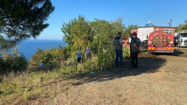 Fındık bahçesinden Zonguldak orman alanına yayılan yangın söndürüldü