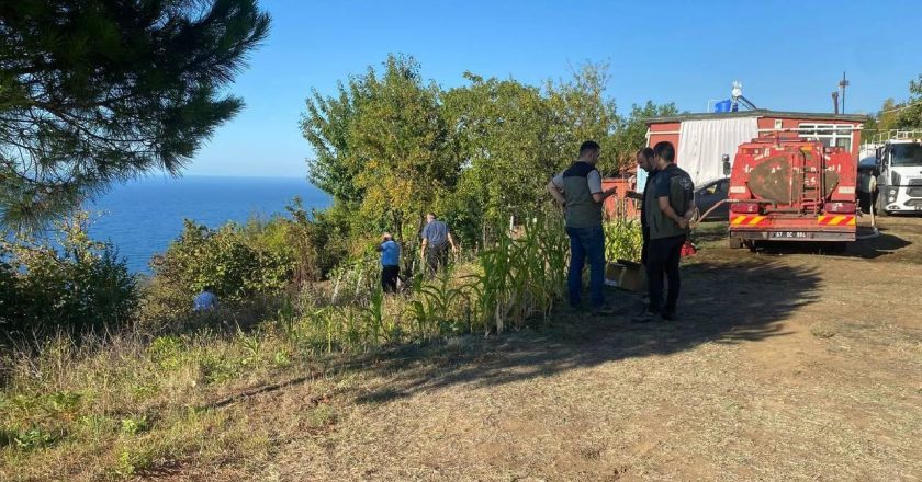 Fındık bahçesinden Zonguldak orman alanına yayılan yangın söndürüldü