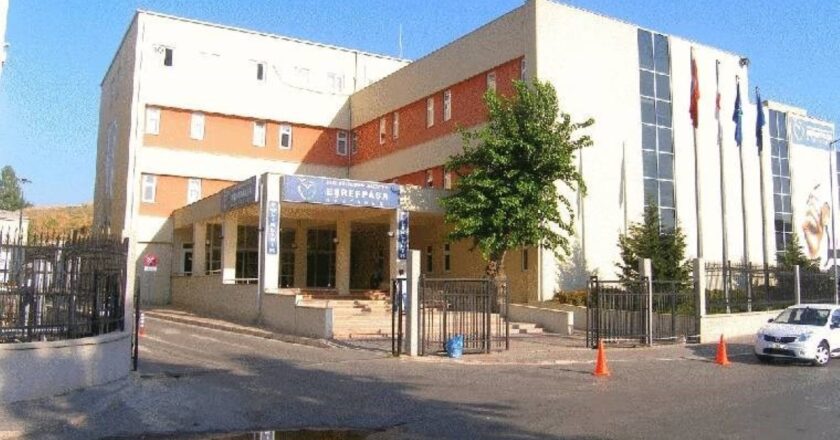 'Yenidoğan Çetesi' Sağlık Politikalarını Sorguladı, CHP Harekete Geçiyor – Son Dakika Sağlık Haberleri
