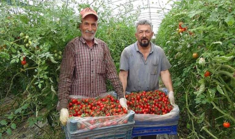 Koleksiyon bitiyor: Şehir genelinde 1 milyon 200 bin ton performans elde edildi …. – Son dakika hayatı için haberler