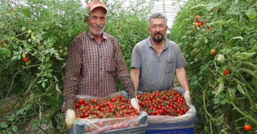 Koleksiyon bitiyor: Şehir genelinde 1 milyon 200 bin ton performans elde edildi …. – Son dakika hayatı için haberler