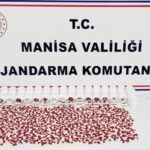 Manisa’da İlaç Operasyonu: 1 Gözaltı