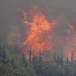 Çanakkale ve Manisa’da orman yangınının müdahalesi devam ediyor