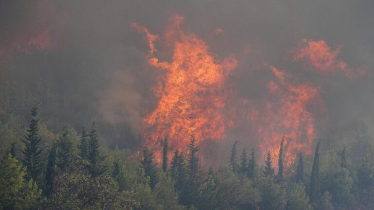 Çanakkale ve Manisa’da orman yangınının müdahalesi devam ediyor