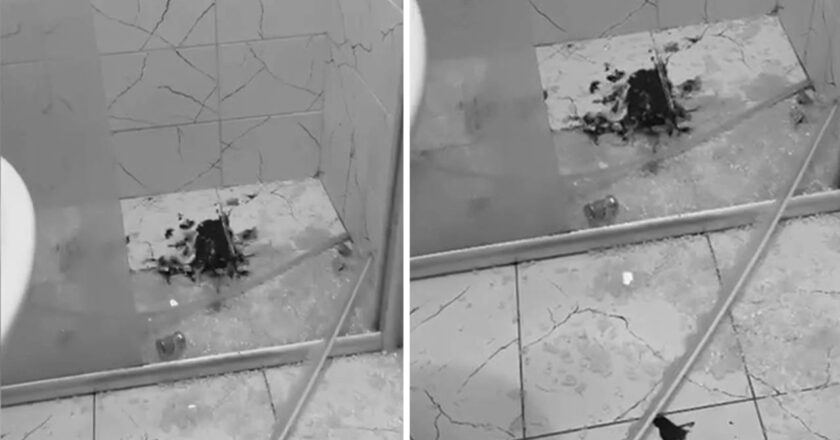 Artvin öğrenci yurdunda duş kabini patladı: “Kamu güvenliği ve malzeme seçimi ciddi şekilde sorgulanmalı!” – Türkiye’den son dakika haberleri