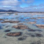 Dünya Bankası: Dünya çapında yıllık tatlı su kaybı 280 milyon insanın ihtiyacını karşılayabilir