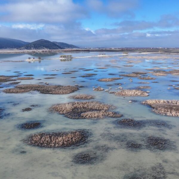 Dünya Bankası: Dünya çapında yıllık tatlı su kaybı 280 milyon insanın ihtiyacını karşılayabilir